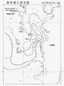 東京湾口海況図(2017/02/17)