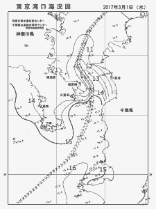 東京湾口海況図(2017/03/01)