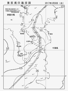 東京湾口海況図(2017/03/08)