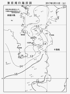 東京湾口海況図(2017/03/11)