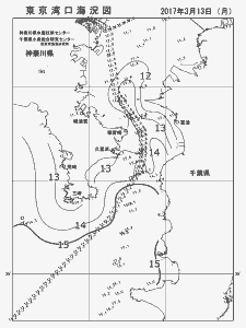 東京湾口海況図(2017/03/13)