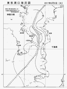 東京湾口海況図(2017/05/09)