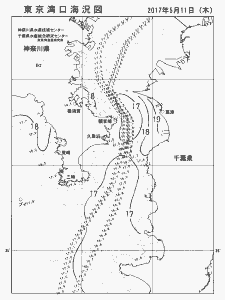 東京湾口海況図(2017/05/11)