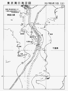 東京湾口海況図(2017/05/13)