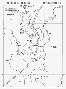 東京湾口海況図(2017/05/16)