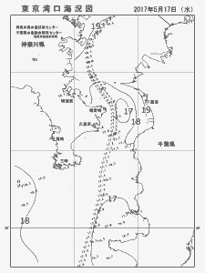 東京湾口海況図(2017/05/17)