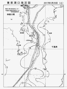 東京湾口海況図(2017/05/20)