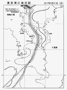 東京湾口海況図(2017/05/21)