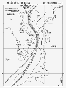 東京湾口海況図(2017/05/22)