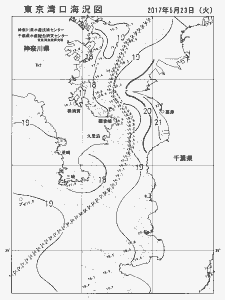 東京湾口海況図(2017/05/23)