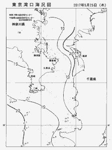 東京湾口海況図(2017/05/25)