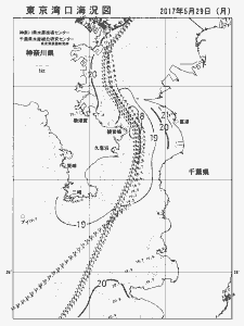 東京湾口海況図(2017/05/29)