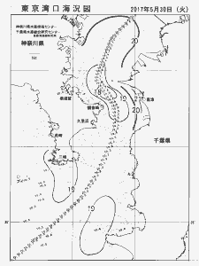 東京湾口海況図(2017/05/30)