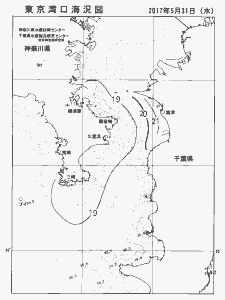東京湾口海況図(2017/05/31)