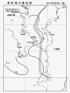 東京湾口海況図(2017/06/09)