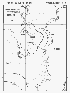 東京湾口海況図(2017/06/10)