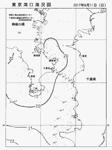 東京湾口海況図(2017/06/11)