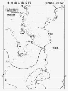東京湾口海況図(2017/06/14)