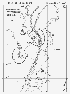 東京湾口海況図(2017/06/16)