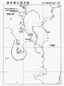 東京湾口海況図(2017/06/19)