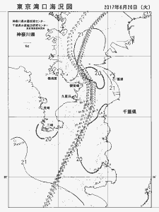 東京湾口海況図(2017/06/20)