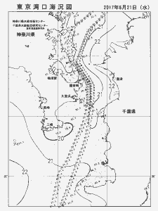 東京湾口海況図(2017/06/21)