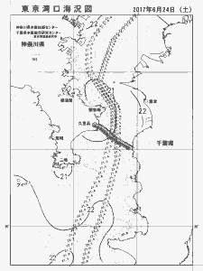 東京湾口海況図(2017/06/24)