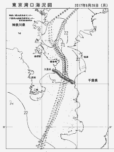 東京湾口海況図(2017/06/26)