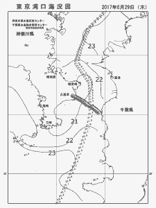 東京湾口海況図(2017/06/29)