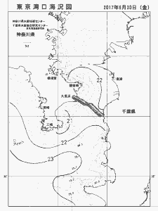 東京湾口海況図(2017/06/30)