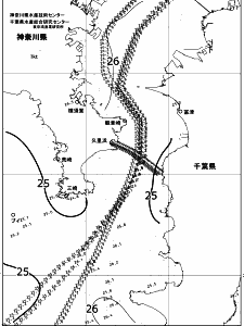 東京湾口海況図(2017/08/04)