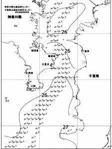 東京湾口海況図(2017/08/12)