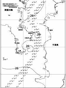 東京湾口海況図(2017/08/16)