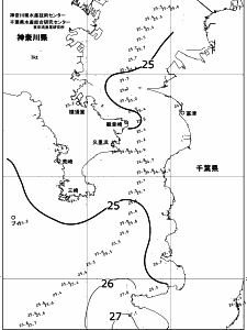 東京湾口海況図(2017/08/17)