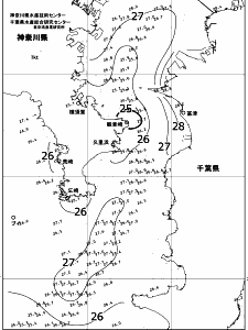 東京湾口海況図(2017/08/24)