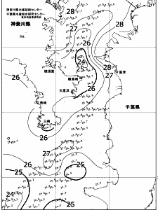 東京湾口海況図(2017/08/25)
