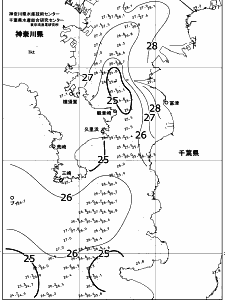 東京湾口海況図(2017/08/26)