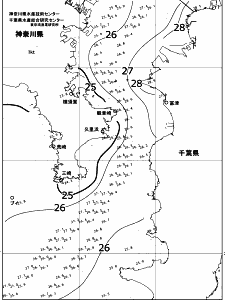 東京湾口海況図(2017/08/30)