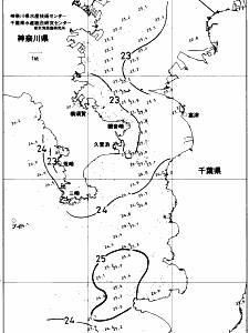 東京湾口海況図(2017/10/04)