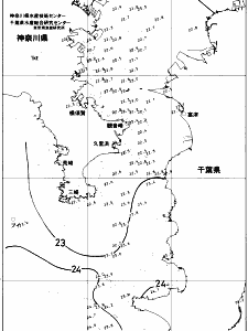 東京湾口海況図(2017/10/11)