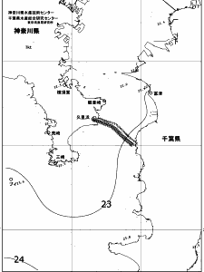 東京湾口海況図(2017/10/13)