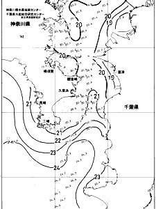 東京湾口海況図(2017/10/19)