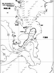 東京湾口海況図(2017/10/22)
