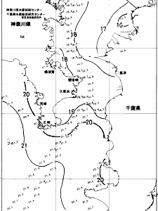 東京湾口海況図(2017/11/13)