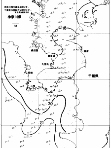 東京湾口海況図(2017/11/14)