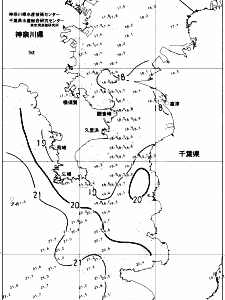 東京湾口海況図(2017/11/15)