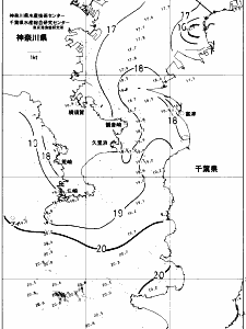 東京湾口海況図(2017/11/17)