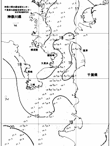 東京湾口海況図(2017/11/19)