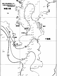 東京湾口海況図(2017/11/20)