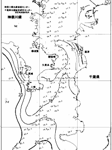 東京湾口海況図(2017/11/21)